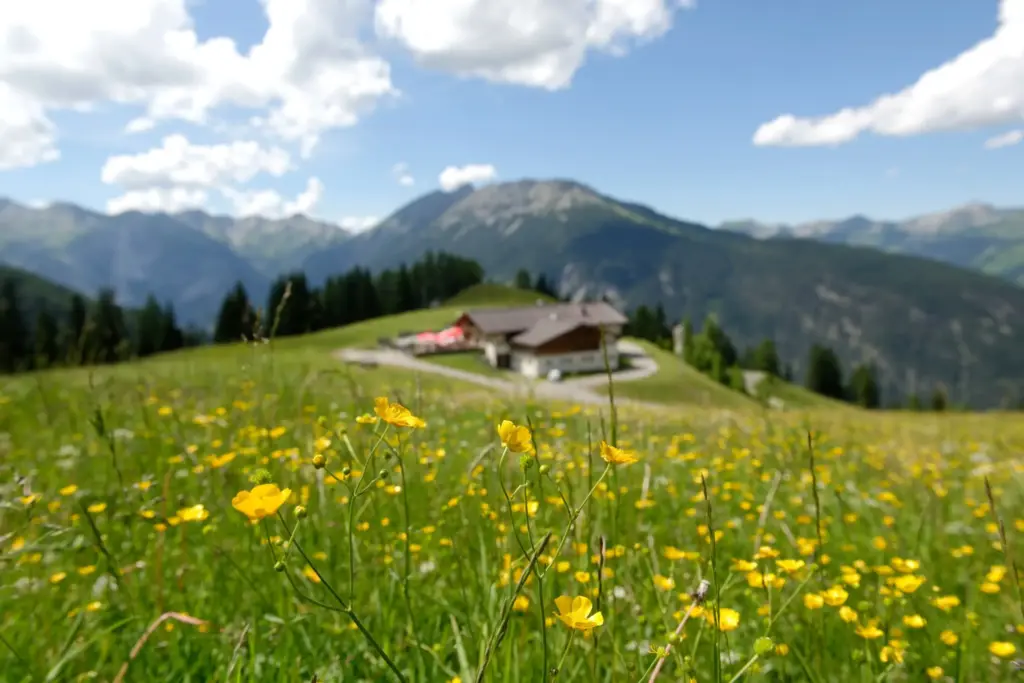 Segnal.at Dein Reisefuehrer in Tirol