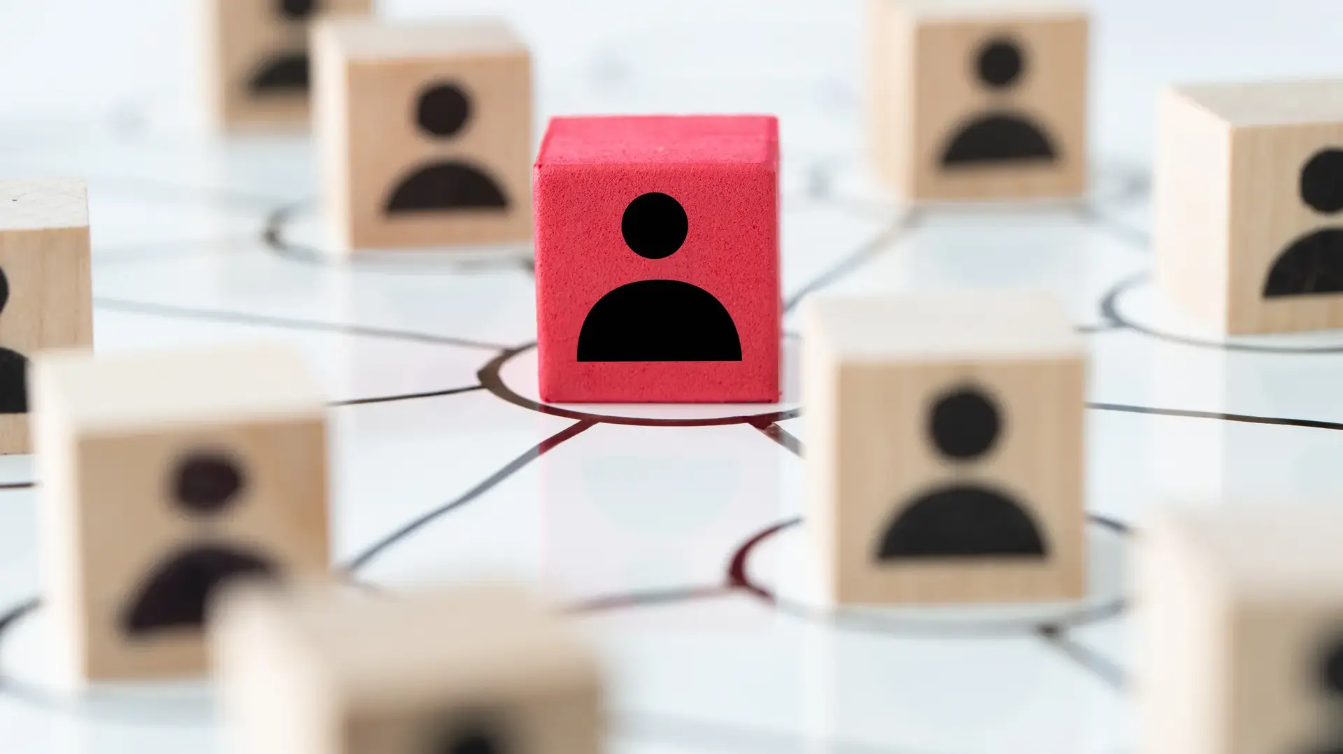 social-media-people-networking-2024-12-13-19-42-54-utc